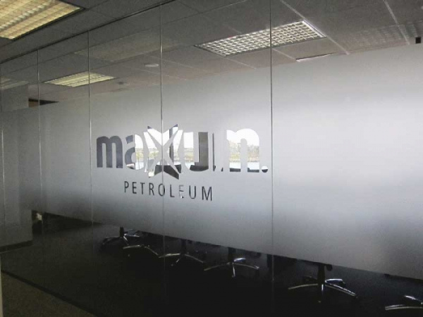 Giấy decal dán kính cửa ra vào đẹp giá rẻ TPHCM 5