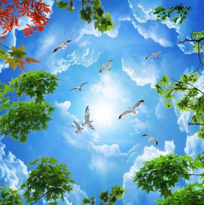 Tranh dán tường 3D bầu trời 11