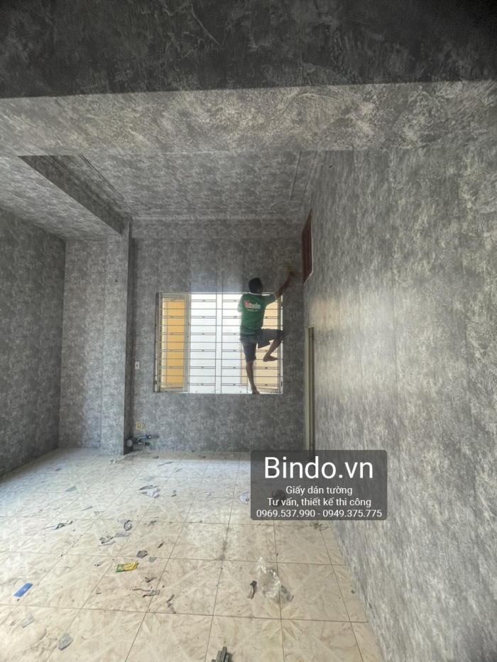 Giấy dán tường Thủ Đức 5