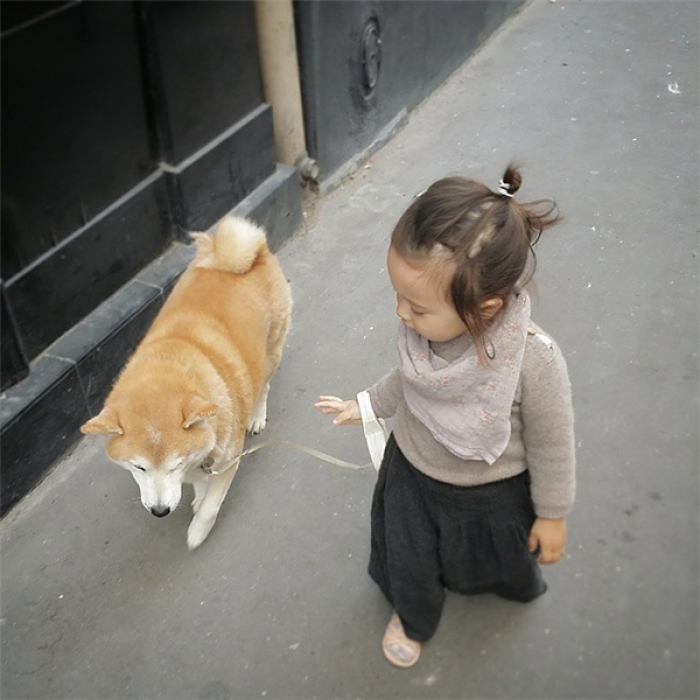HÌnh ảnh chó Shiba đáng yêu và bé 3
