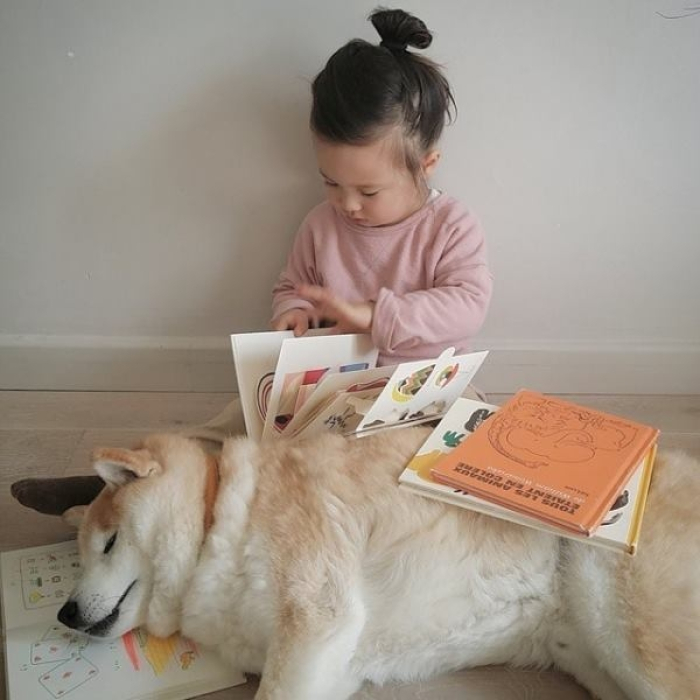 Hình ảnh chó Shiba đáng yêu và bé 4