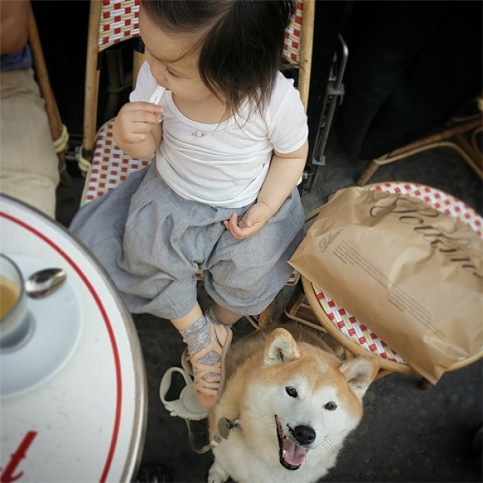 HÌnh ảnh chó Shiba đáng yêu và bé 8