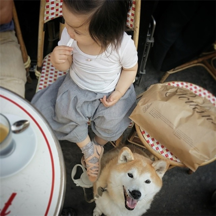 Hình ảnh chó Shiba đáng yêu và bé 8