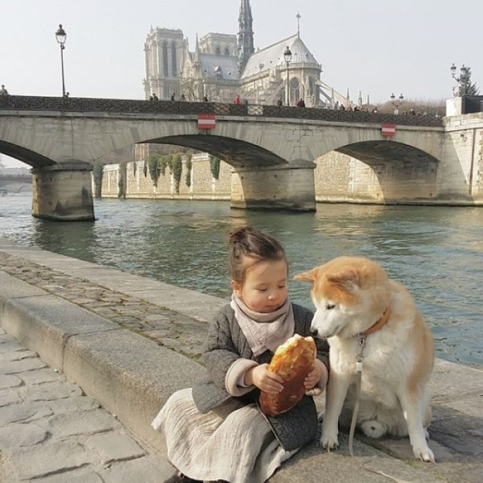 HÌnh ảnh chó Shiba đáng yêu và bé 6