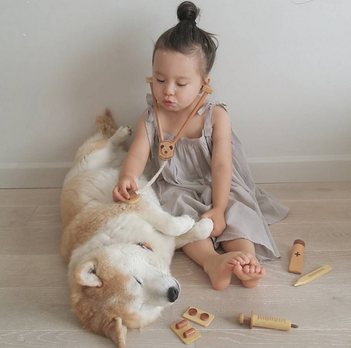 HÌnh ảnh chó Shiba đáng yêu và bé 11