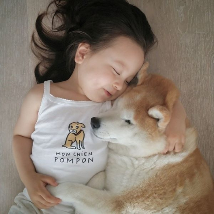 HÌnh ảnh chó Shiba đáng yêu và bé 10