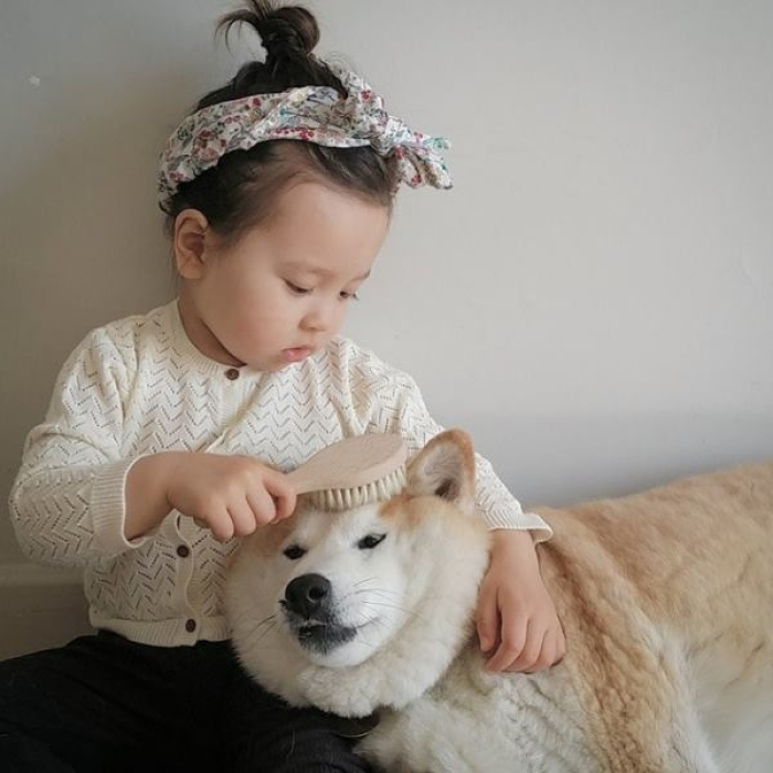 HÌnh ảnh chó Shiba đáng yêu và bé 9