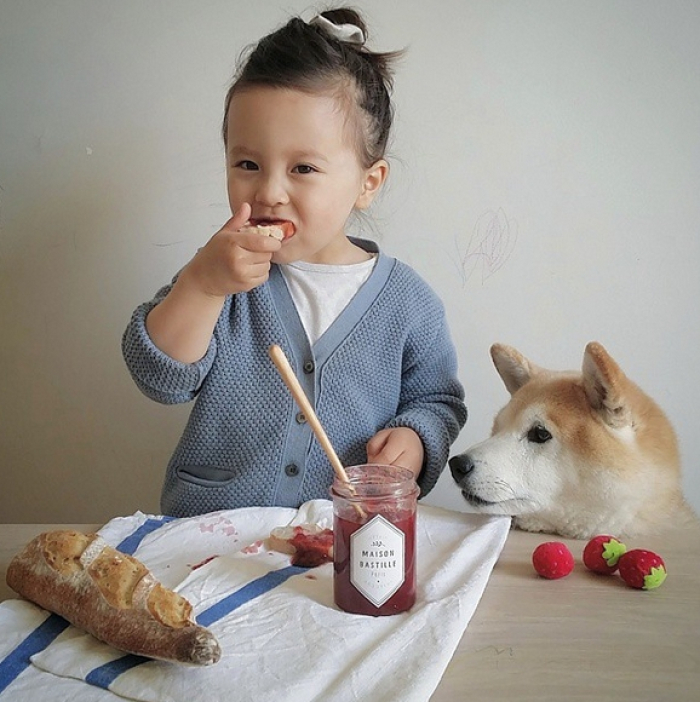 Hình ảnh chó Shiba đáng yêu và bé 13