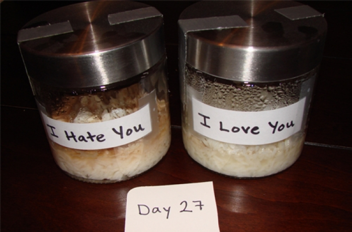 Lời nói có ảnh hưởng nghiệm trọng lên tình trạng của vật chất 1