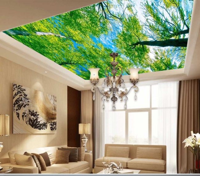 Tranh 3D dán trần nhà thạch cao, phòng khách đẹp rẻ TPHCM 8