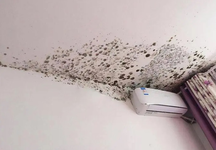 Xốp dán tường bị bong: Nguyên nhân và cách khắc phục 2