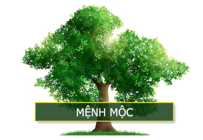 Tranh phong thủy cho người mệnh Mộc 3