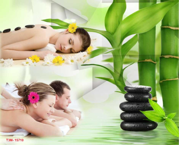 Decal dán kính spa 23