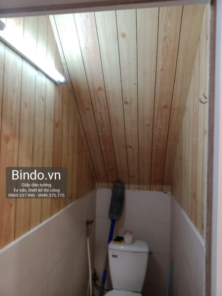 Giấy dán tường Quận 11 5