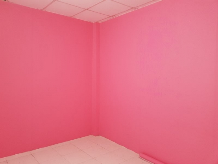 Giấy dán tường màu hồng 2