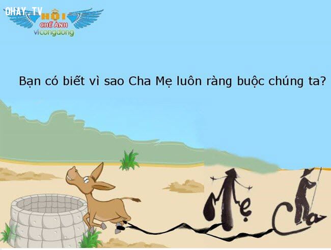 Cảm động với tình cảm của cha mẹ dành cho con cái như trời bể 5