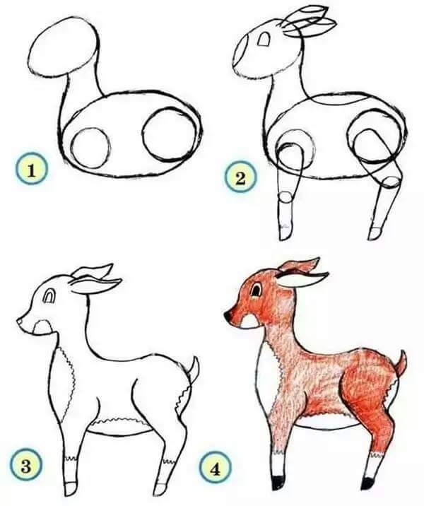 Cách vẽ nhiều con vật đơn giản dễ thương cho bé tô màu 8