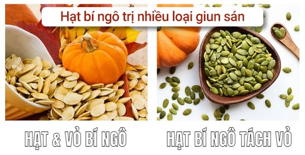 Bài thuốc trị giun sán cho trẻ em bằng rau củ