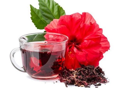 Chữa sỏi thận bằng cây dâm bụt nên tham khảo