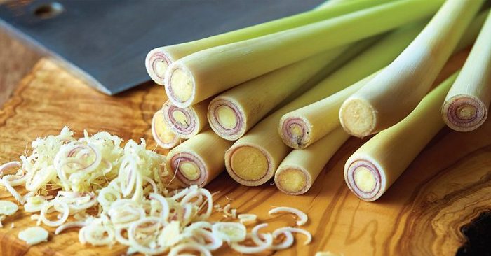 Đặc điểm và tác dụng của cây sả với sức khỏe