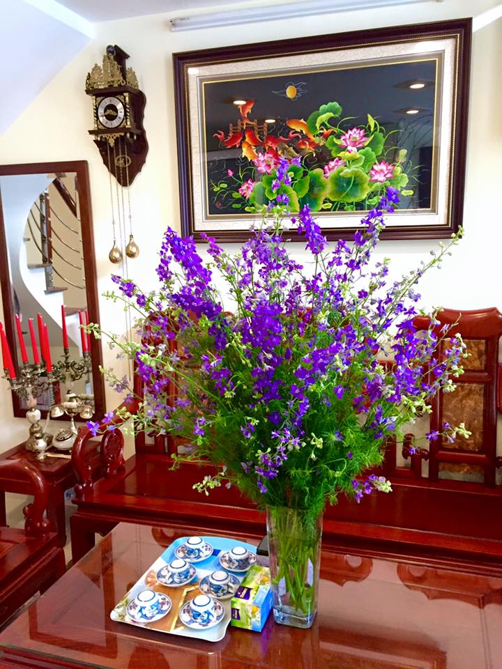 Mẹo cắm hoa violet tươi lâu đến 7 ngày 