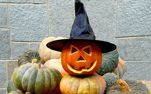 Halloween ngày mấy? Nguồn gốc và ý nghĩa của lễ hội Halloween