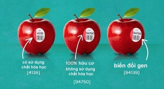 Quy định mã số trên tem trái cây sẽ cho bạn biết có nên ăn hay không