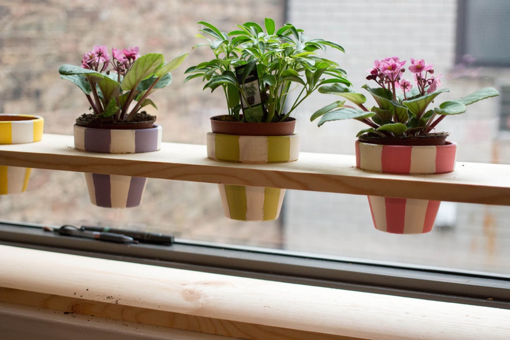Trang trí cửa sổ với chậu cây xanh mát - đẹp cho không gian nhà