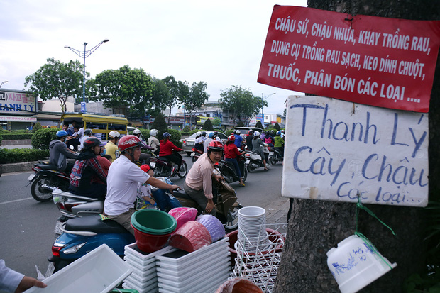 Xả hàng trả mặt bằng các loại chậu cây, cây cảnh, cún, thỏ... tại ngã ba mũi tàu